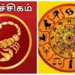விருச்சிக ராசிக்கு விபரீத ராஜயோகம்.. ஆகஸ்ட் மாதத்தில் காத்திருக்கும் அதிர்ஷ்டம்